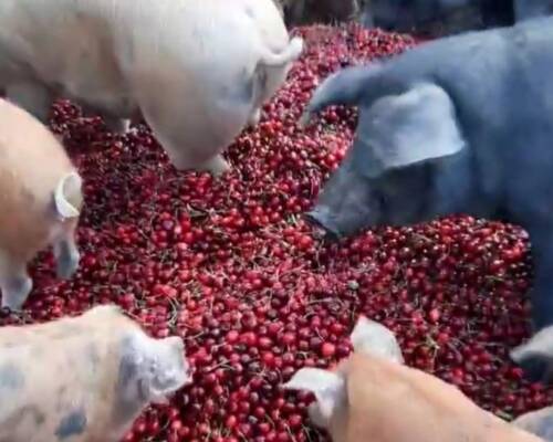 Spazio Aperto Salento