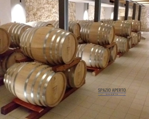 Spazio Aperto Salento