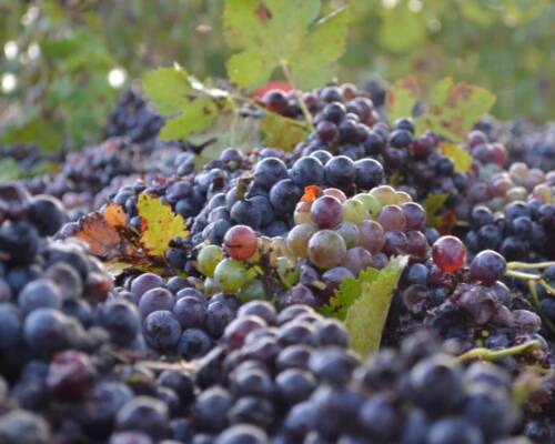 Spazio Aperto Salento