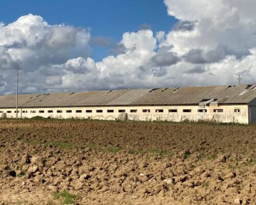 Spazio Aperto Salento