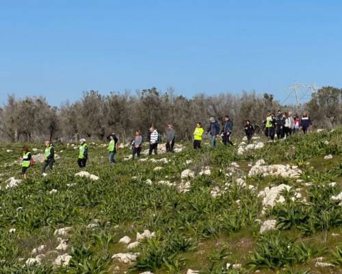 Spazio Aperto Salento