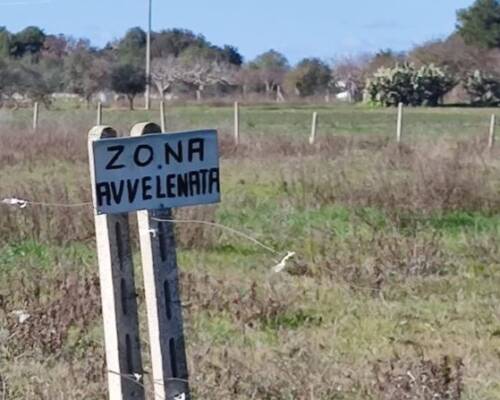 Spazio Aperto Salento