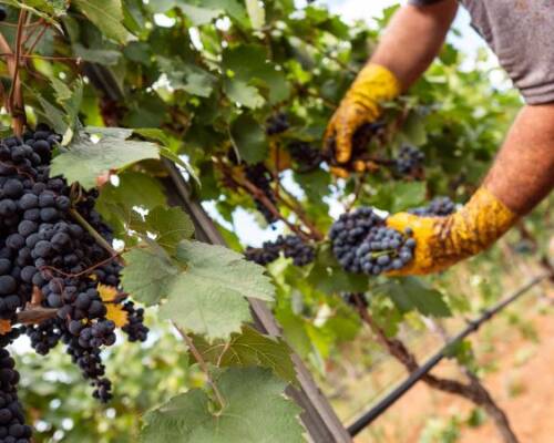 Spazio Aperto Salento