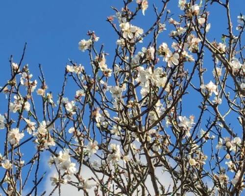 Spazio Aperto Salento