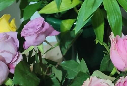 Spazio Aperto Salento