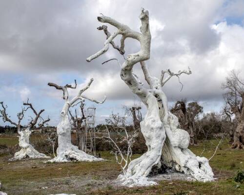 Spazio Aperto Salento