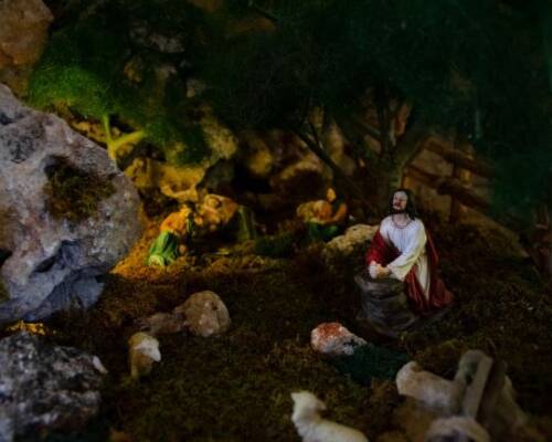 Spazio Aperto Salento