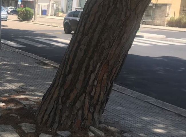 Spazio Aperto Salento