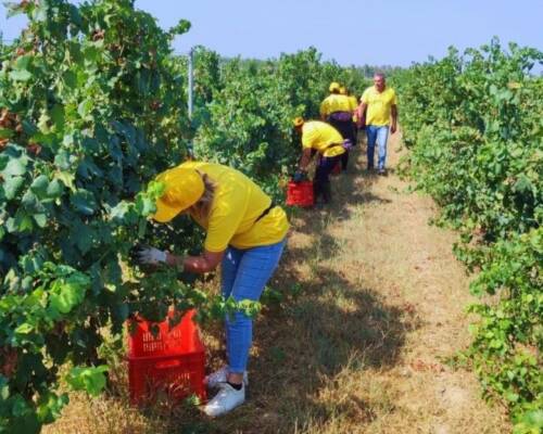 Spazio Aperto Salento