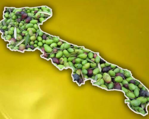 Spazio Aperto Salento