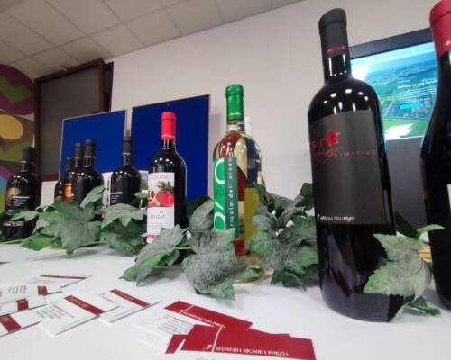 Spazio Aperto Salento