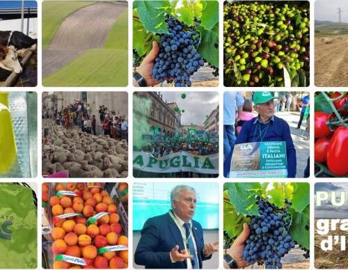 Spazio Aperto Salento