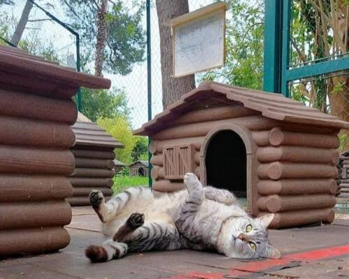 Spazio Aperto Salento