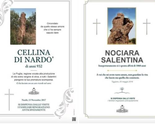 Spazio Aperto Salento