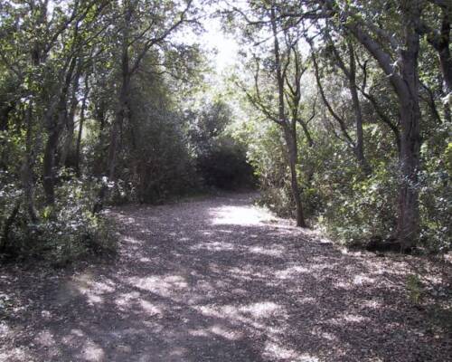 Spazio Aperto Salento