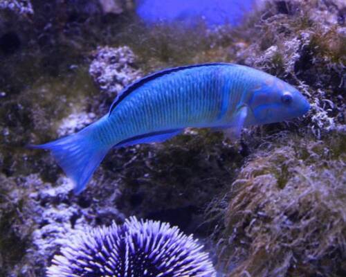 Spazio Aperto Salento