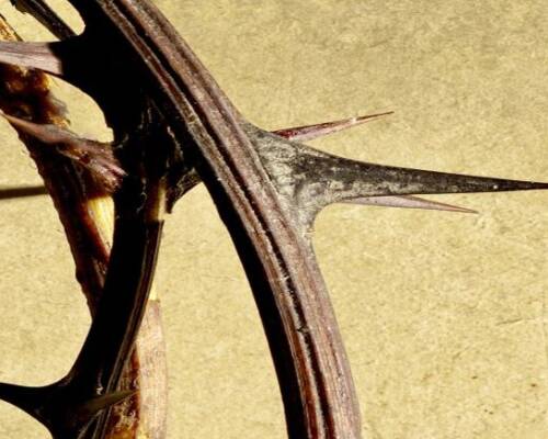 Spazio Aperto Salento