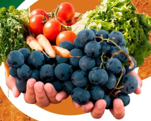 Spazio Aperto Salento