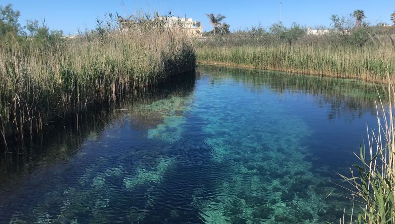 Spazio Aperto Salento