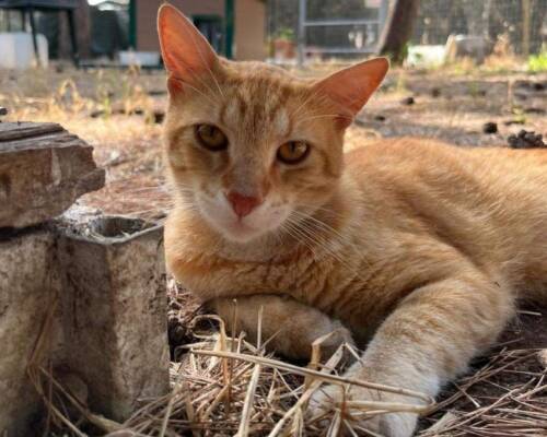 Spazio Aperto Salento