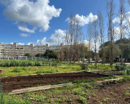 Spazio Aperto Salento