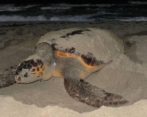 Spazio Aperto Salento