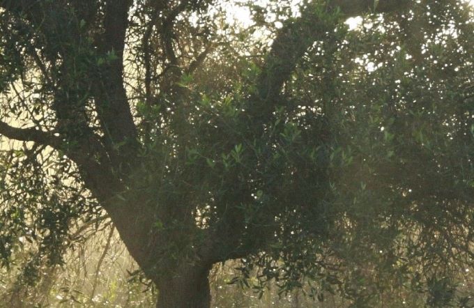 Spazio Aperto Salento