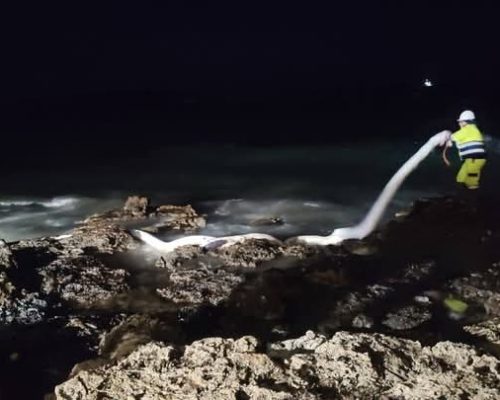 Spazio Aperto Salento