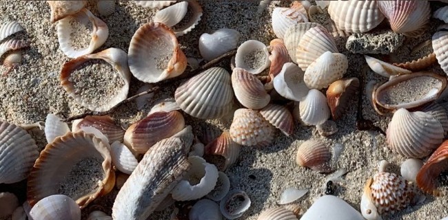 Spazio Aperto Salento
