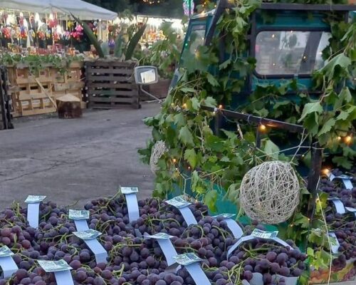 Spazio Aperto Salento