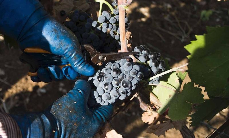 Spazio Aperto Salento