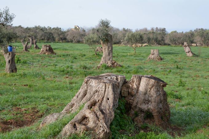 Spazio Aperto Salento