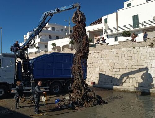 Spazio Aperto Salento