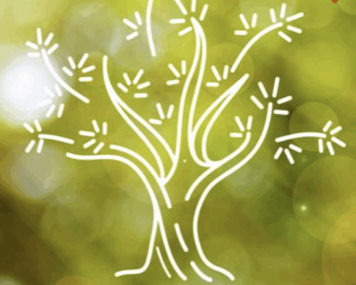 Spazio Aperto Salento