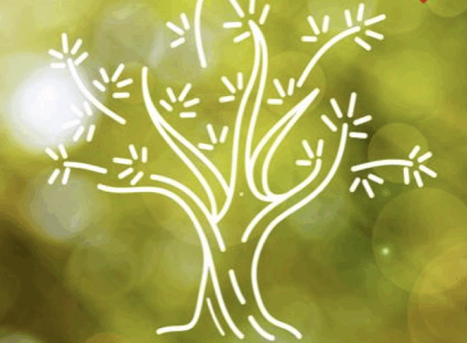 Spazio Aperto Salento