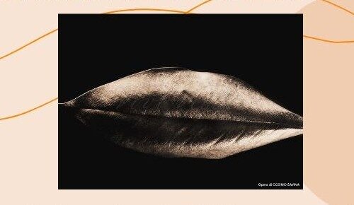 Spazio Aperto Salento