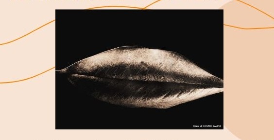 Spazio Aperto Salento