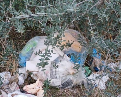 Spazio Aperto Salento