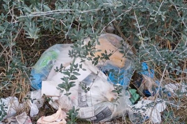 Spazio Aperto Salento