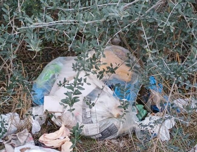 Spazio Aperto Salento