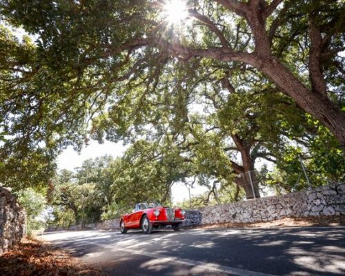 Spazio Aperto Salento