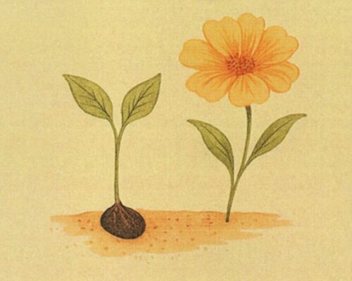 Spazio Aperto Salento