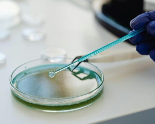 Spazio Aperto Salento