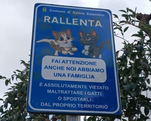 Spazio Aperto Salento