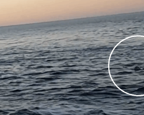 Spazio Aperto Salento