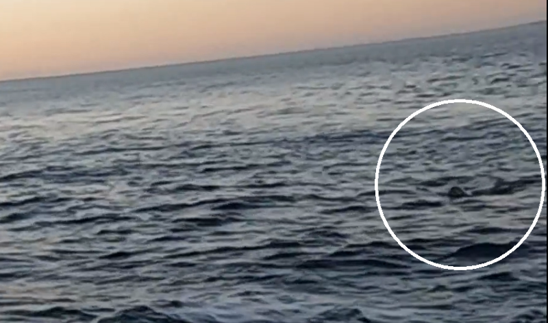 Spazio Aperto Salento