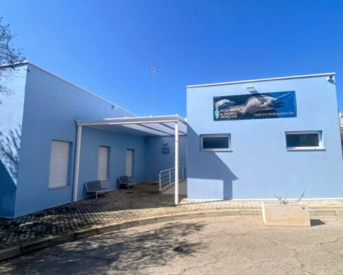 Spazio Aperto Salento