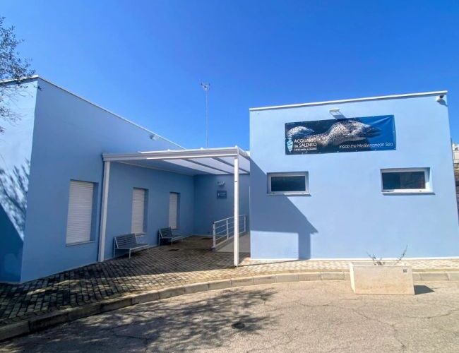 Spazio Aperto Salento