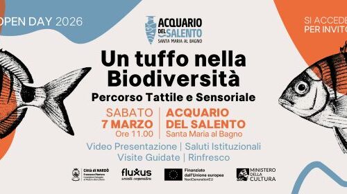 Spazio Aperto Salento