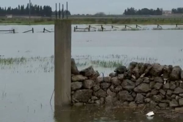 Spazio Aperto Salento